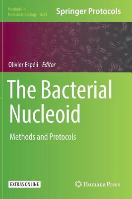 bokomslag Bacterial Nucleoid
