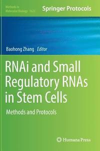 bokomslag RNAi and Small Regulatory RNAs in Stem Cells