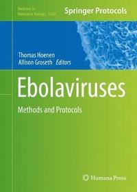 bokomslag Ebolaviruses
