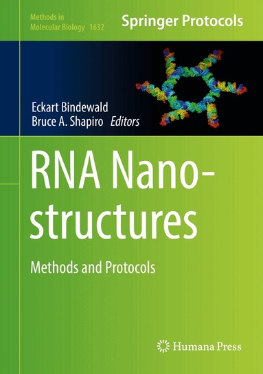 Eckart Bindewald, Bruce A. Shapiro - RNA Nanostructures, Inbunden