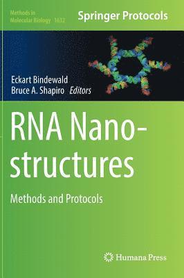 bokomslag RNA Nanostructures