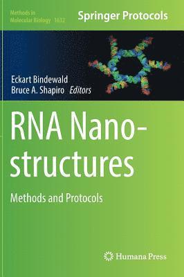 Eckart Bindewald, Bruce A. Shapiro - RNA Nanostructures, Inbunden