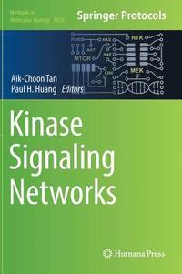 bokomslag Kinase Signaling Networks