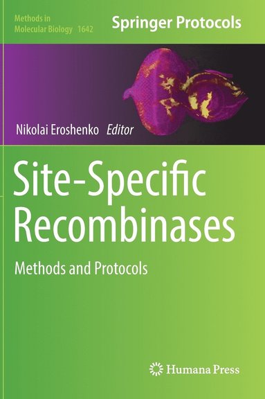 bokomslag Site-Specific Recombinases