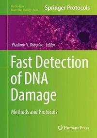 bokomslag Fast Detection of DNA Damage