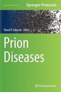 bokomslag Prion Diseases
