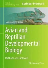 bokomslag Avian and Reptilian Developmental Biology