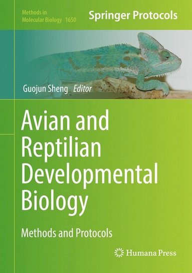 bokomslag Avian and Reptilian Developmental Biology