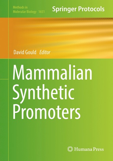 bokomslag Mammalian Synthetic Promoters