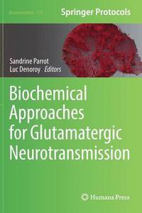 bokomslag Biochemical Approaches for Glutamatergic Neurotransmission