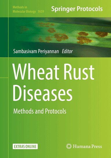Sambasivam Periyannan - Wheat Rust Diseases, Inbunden