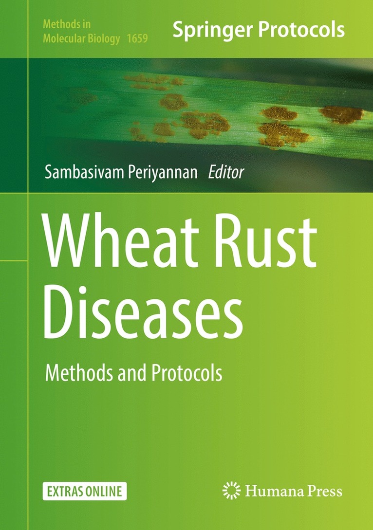 Wheat Rust Diseases 1