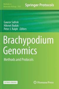 bokomslag Brachypodium Genomics