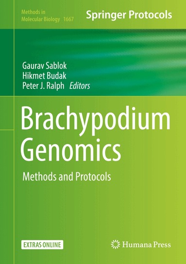 Gaurav Sablok, Hikmet Budak, Peter J. Ralph - Brachypodium Genomics, Inbunden