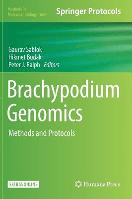bokomslag Brachypodium Genomics