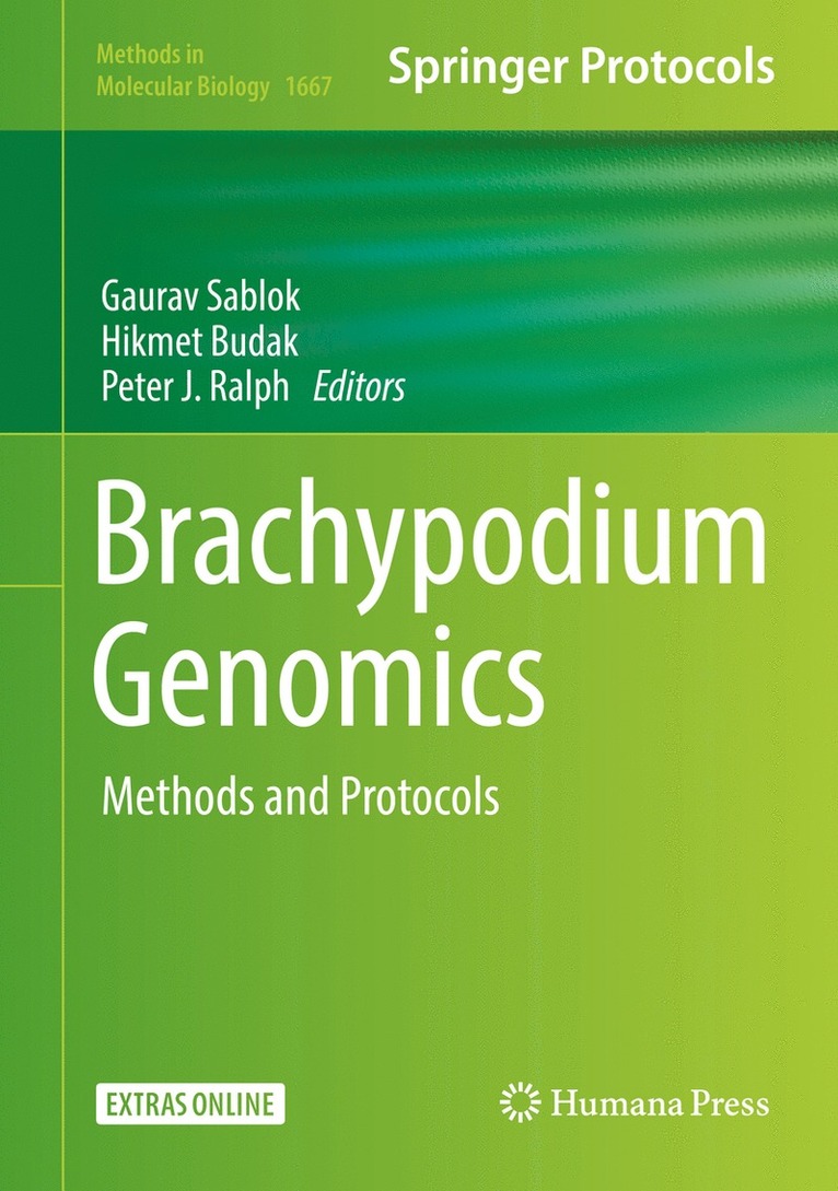 Gaurav Sablok, Hikmet Budak, Peter J. Ralph - Brachypodium Genomics, Inbunden