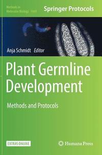 bokomslag Plant Germline Development