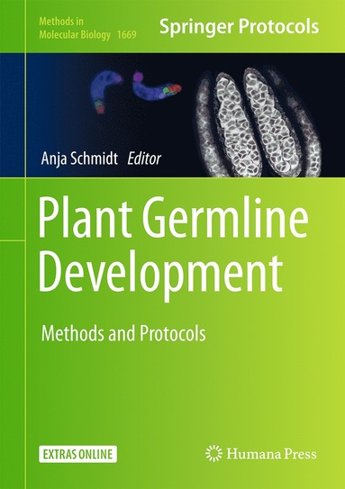 bokomslag Plant Germline Development