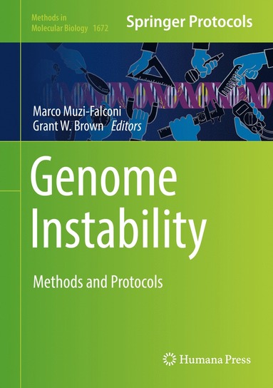 bokomslag Genome Instability