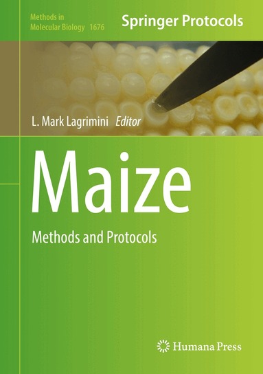 L. Mark Lagrimini - Maize, Inbunden