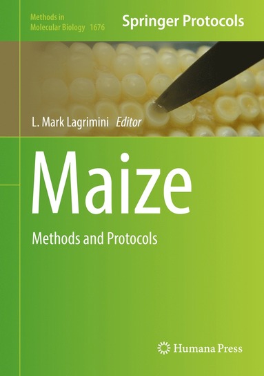 bokomslag Maize