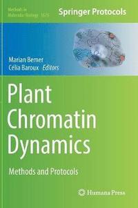 bokomslag Plant Chromatin Dynamics
