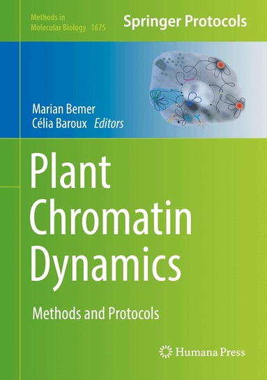 Marian Bemer, Célia Baroux - Plant Chromatin Dynamics, Inbunden