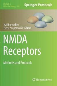 bokomslag NMDA Receptors