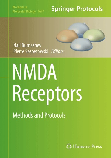 Nail Burnashev, Pierre Szepetowski - NMDA Receptors, Inbunden