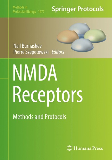 bokomslag NMDA Receptors