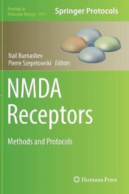 NMDA Receptors 1