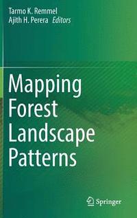 bokomslag Mapping Forest Landscape Patterns