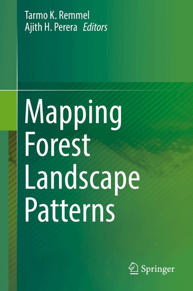 Tarmo K. Remmel, Ajith H. Perera - Mapping Forest Landscape Patterns, Inbunden