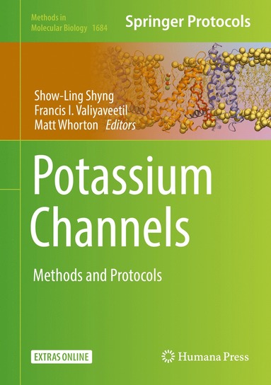 bokomslag Potassium Channels