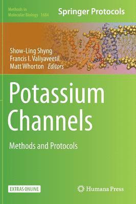 Potassium Channels 1