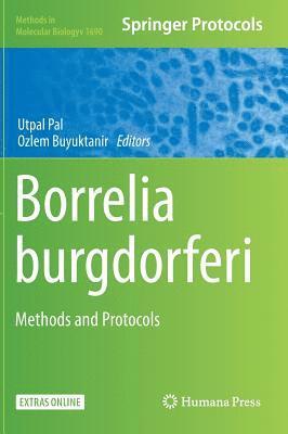 Utpal Pal, Ozlem Buyuktanir - Borrelia burgdorferi, Inbunden