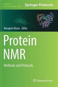 bokomslag Protein NMR