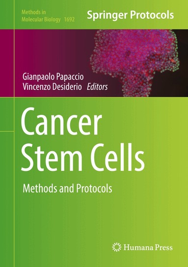Gianpaolo Papaccio, Vincenzo Desiderio - Cancer Stem Cells, Inbunden