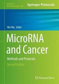 bokomslag MicroRNA and Cancer