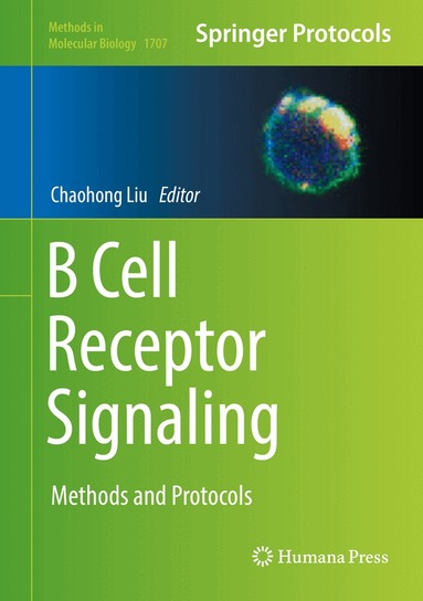 Chaohong Liu - B Cell Receptor Signaling, Inbunden