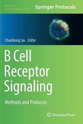 bokomslag B Cell Receptor Signaling