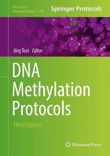 Jörg Tost - DNA Methylation Protocols, Inbunden