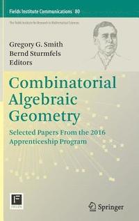 bokomslag Combinatorial Algebraic Geometry
