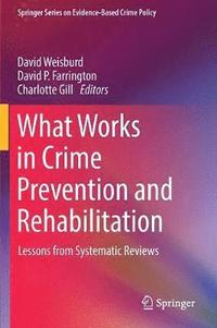 bokomslag What Works in Crime Prevention and Rehabilitation