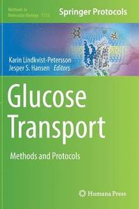 bokomslag Glucose Transport
