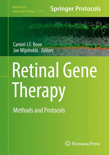 Camiel J.F. Boon, Jan Wijnholds - Retinal Gene Therapy, Inbunden