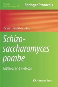 bokomslag Schizosaccharomyces pombe