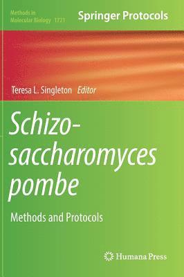 Schizosaccharomyces pombe 1