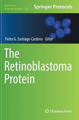 bokomslag The Retinoblastoma Protein