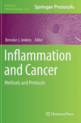 bokomslag Inflammation and Cancer